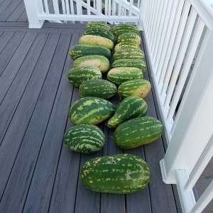 Melons